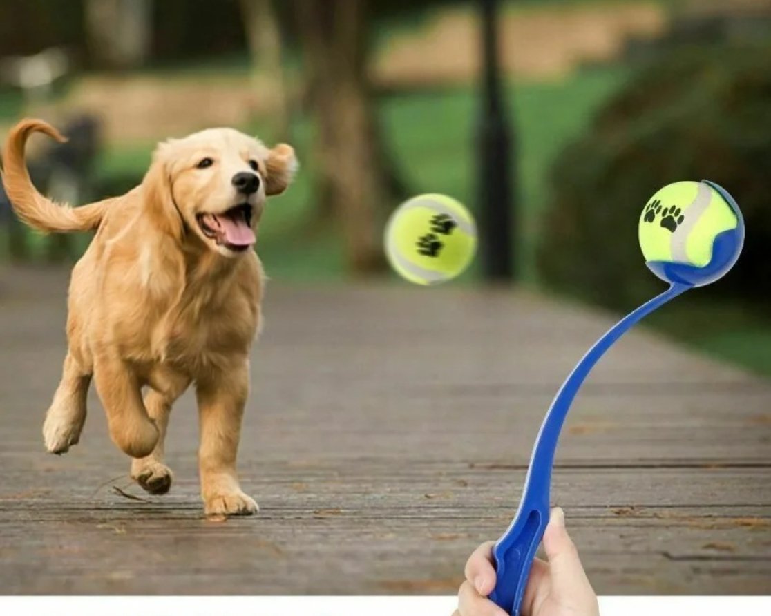 BallLaunchDog™ - Lanceur de balle - wafmania