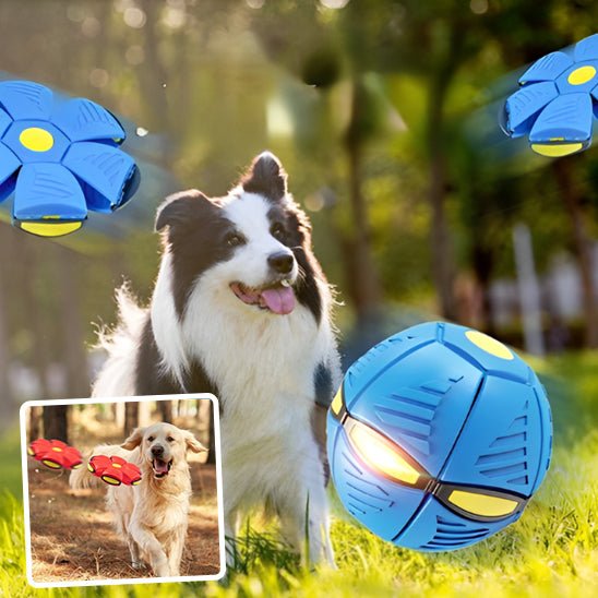 BounceBall™ - Balle pour chien soucoupe volante - wafmania