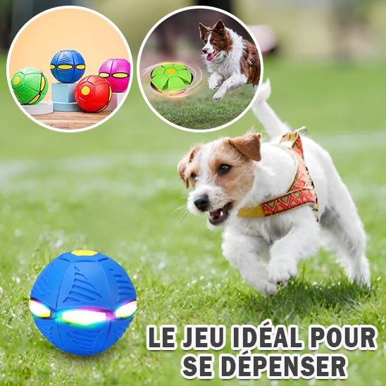 BounceBall™ - Balle pour chien soucoupe volante - wafmania