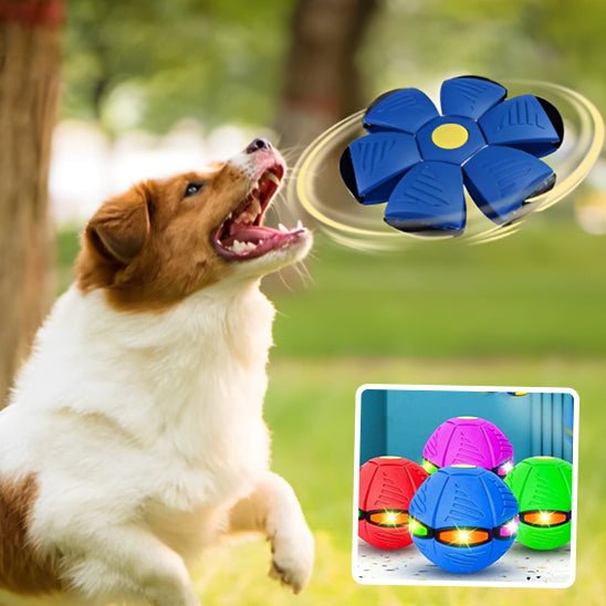 BounceBall™ - Balle pour chien soucoupe volante - wafmania