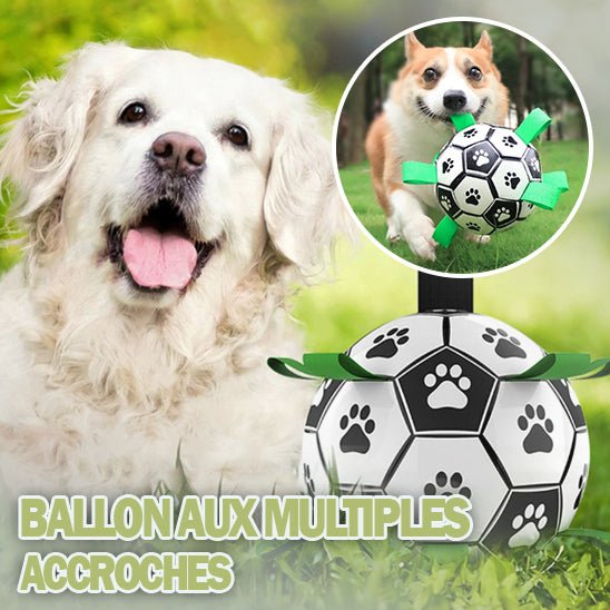 DogSoccerBall™ - Ballon pour chien de foot avec accroches - wafmania