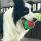 FunBall™ - Balle pour chien qui couine - wafmania