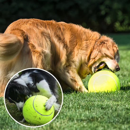 GiantTennisBall™ - Balle de tennis pour chien géante - wafmania