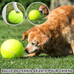 GiantTennisBall™ - Balle de tennis pour chien géante - wafmania