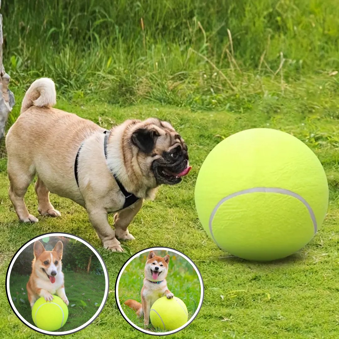 GiantTennisBall™ - Balle de tennis pour chien géante - wafmania