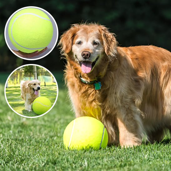 GiantTennisBall™ - Balle de tennis pour chien géante - wafmania