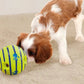 GripBallPro™ - Balle pour chien interactive et indestructible - wafmania