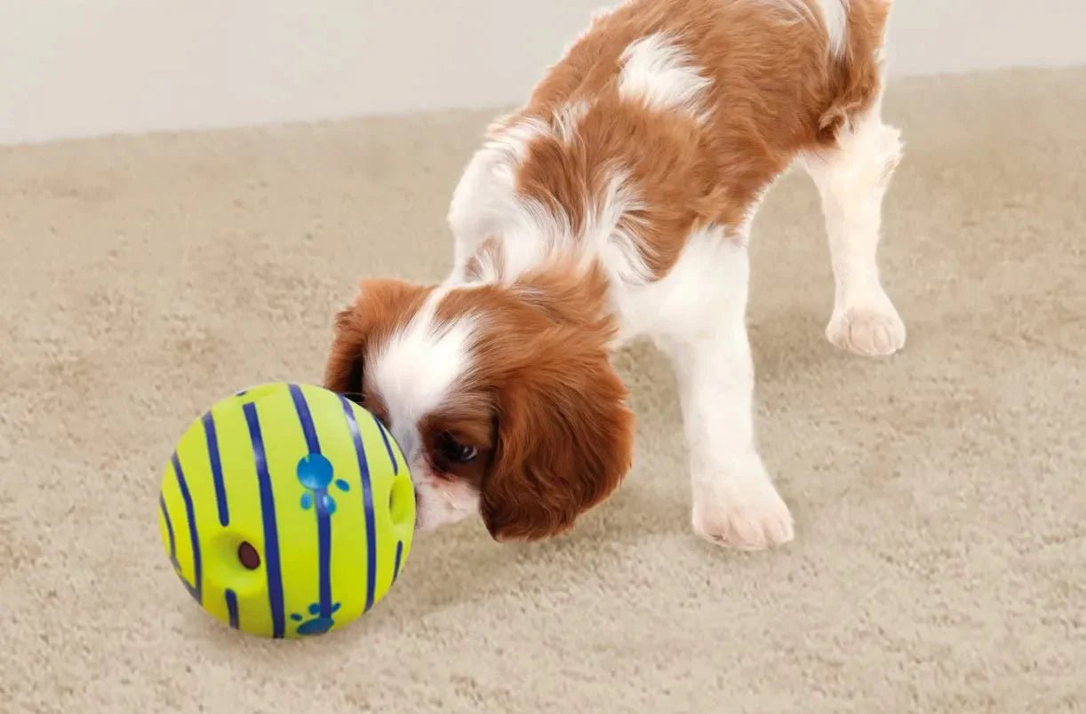 GripBallPro™ - Balle pour chien interactive et indestructible - wafmania