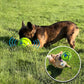 GripBallPro™ - Balle pour chien interactive et indestructible - wafmania