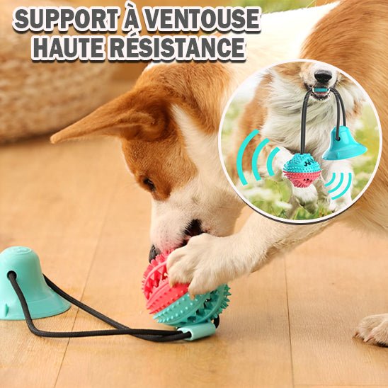 GripVac™ - Balle pour chien indestructible avec ventouse - wafmania