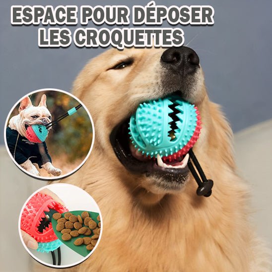 GripVac™ - Balle pour chien indestructible avec ventouse - wafmania