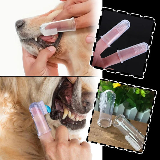 DoggyBrush™ | Brosse à dent pour chien - wafmania
